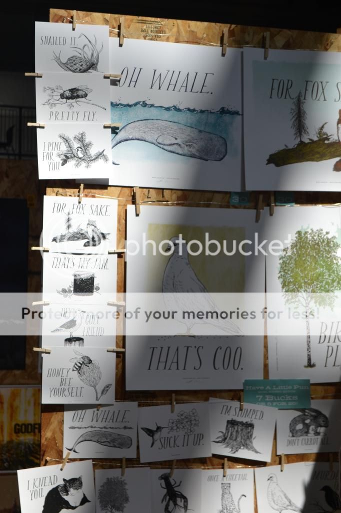  photo DSC_0002_zps4247a8ba.jpg