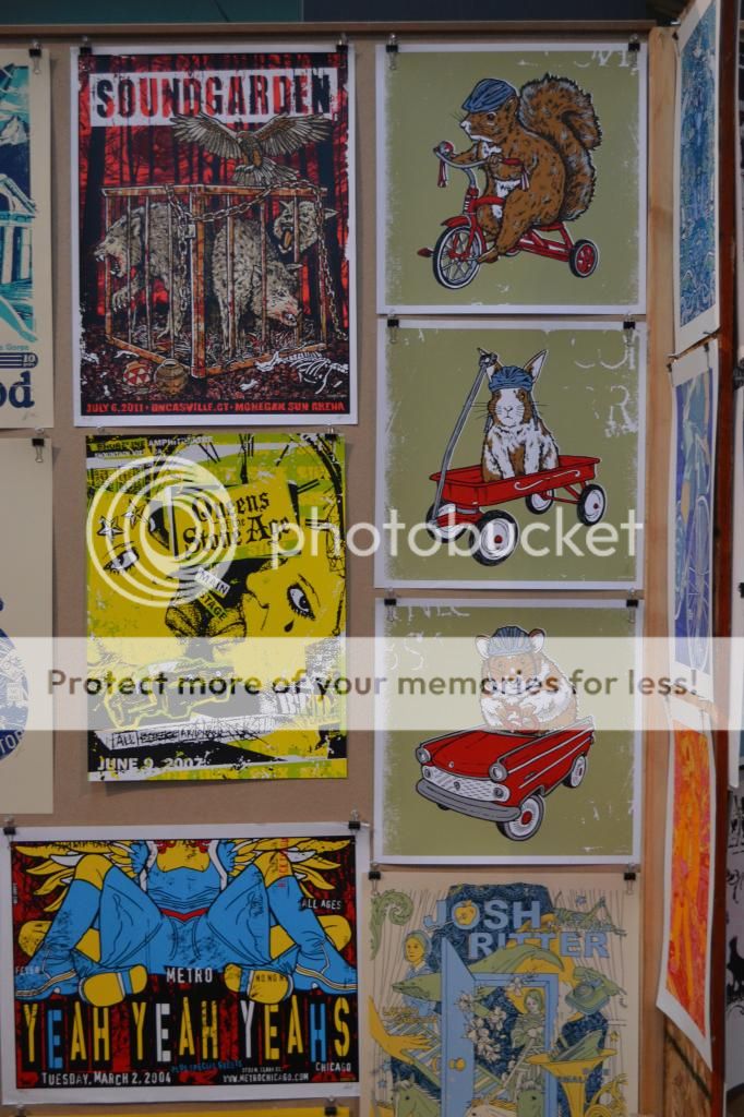  photo DSC_0002_zps805437ac.jpg