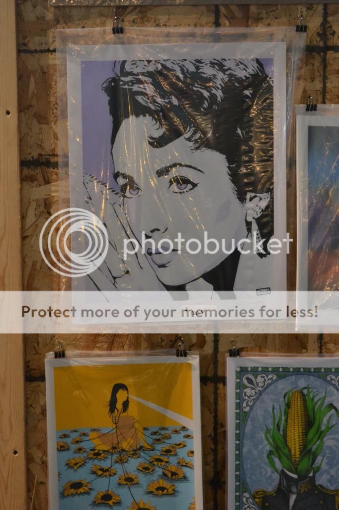  photo DSC_0012_zps6ea4fb11.jpg