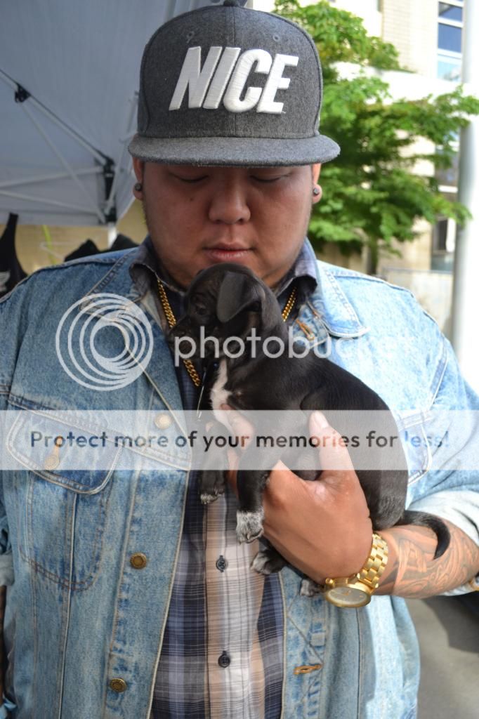  photo DSC_0026_zps82bef92a.jpg