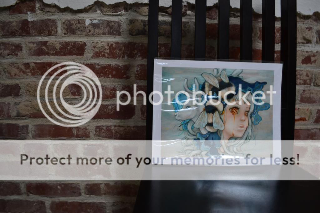  photo DSC_0036_zps62a6f4a6.jpg