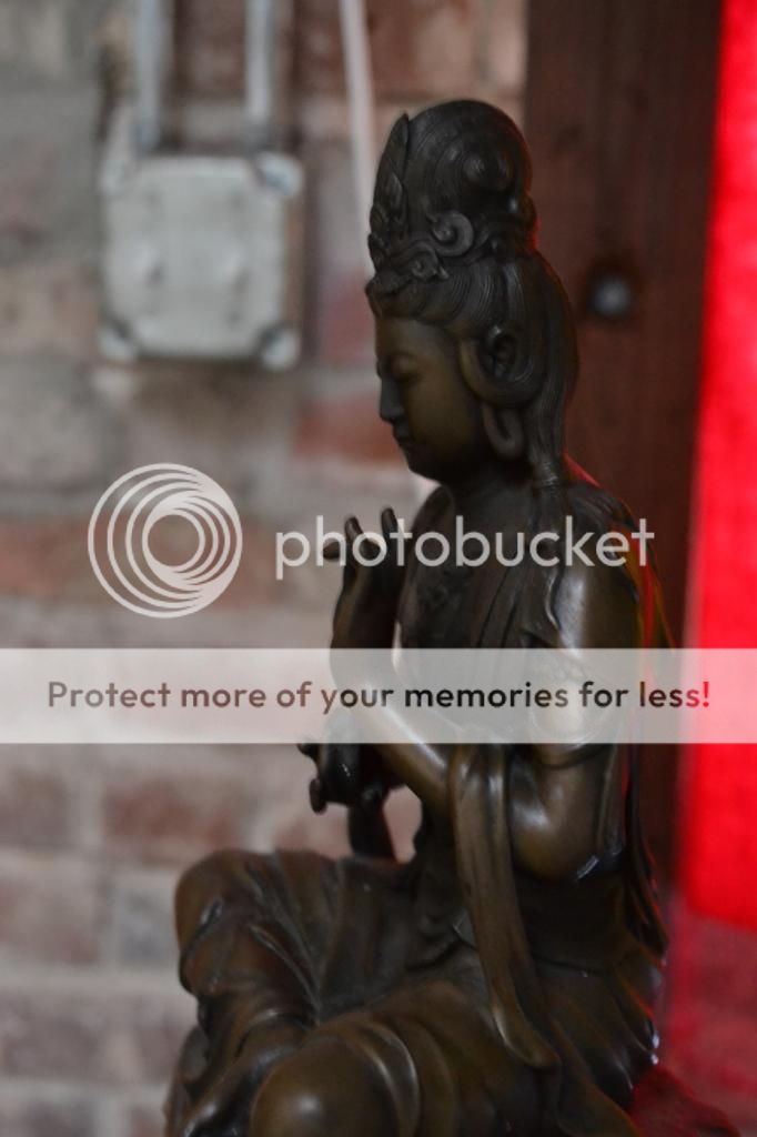  photo DSC_0043_zpsc8644371.jpg