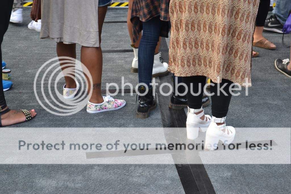  photo DSC_0133_zps317e2472.jpg