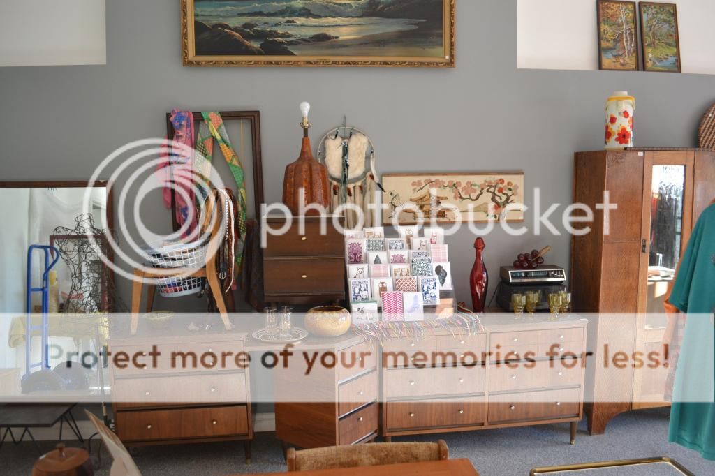  photo DSC_0276_zps46511d5e.jpg