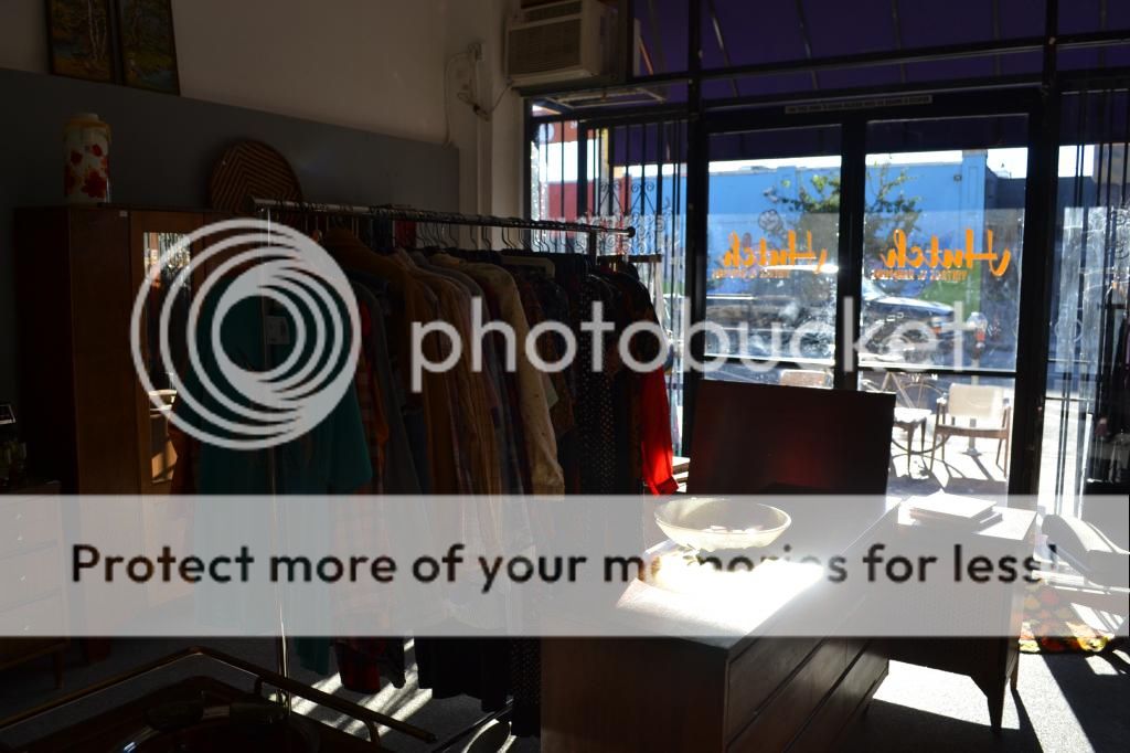  photo DSC_0277_zps760be646.jpg