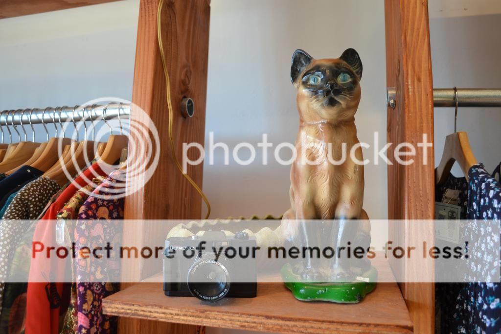  photo DSC_0281_zpsb250c910.jpg