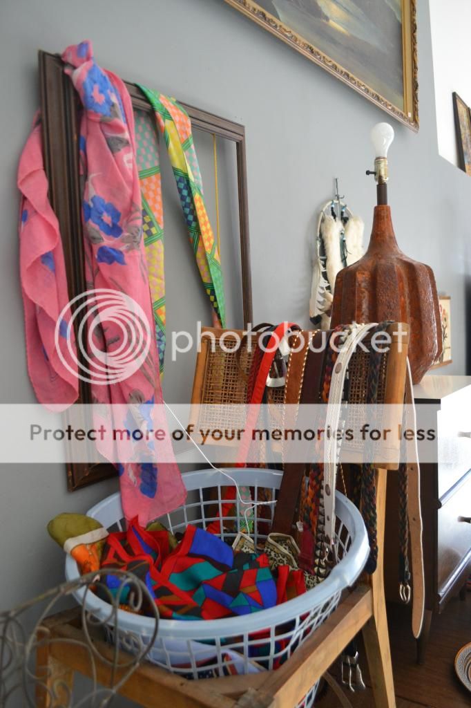  photo DSC_0284_zps146c63a3.jpg