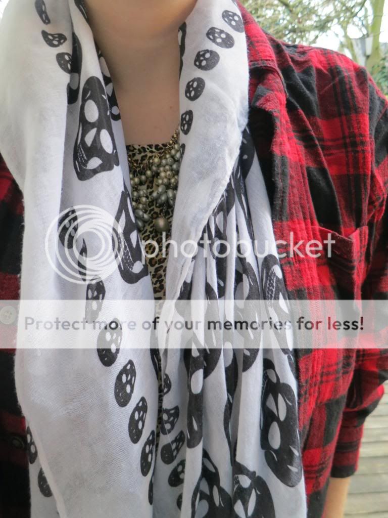 photo IMG_4693_zpse7949e57.jpg