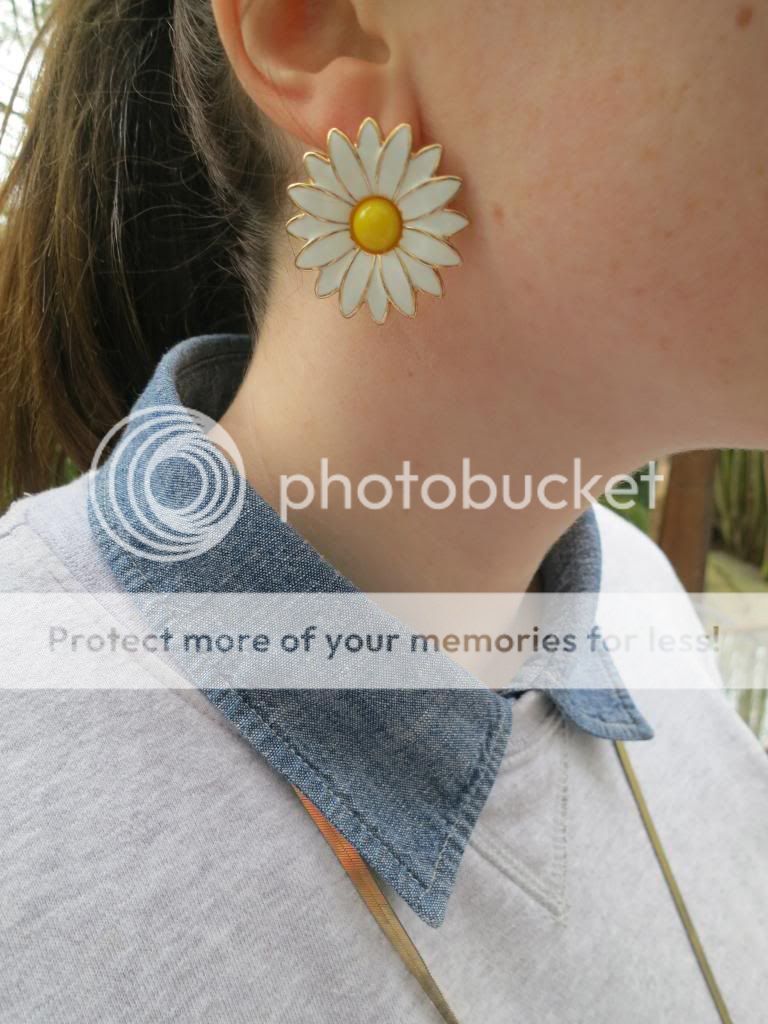 photo IMG_4725_zps1e27b779.jpg