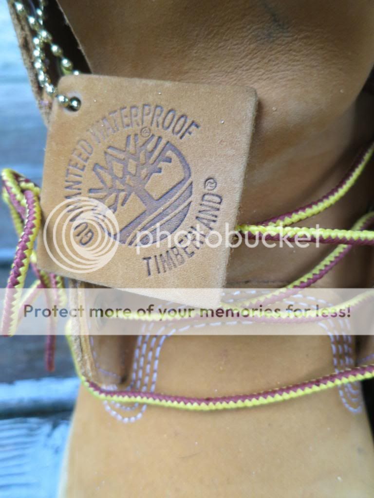 photo IMG_4792_zps588c5d7d.jpg