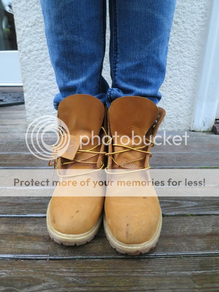 photo IMG_4793_zps2f8790f7.jpg