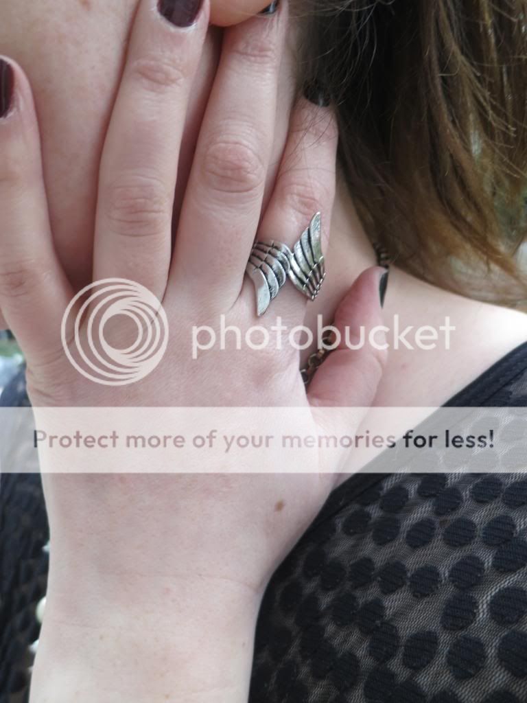  photo IMG_5325_zps6bbb220e.jpg