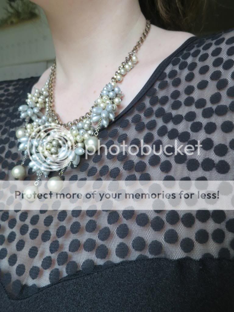  photo IMG_5337_zpsde11b72a.jpg