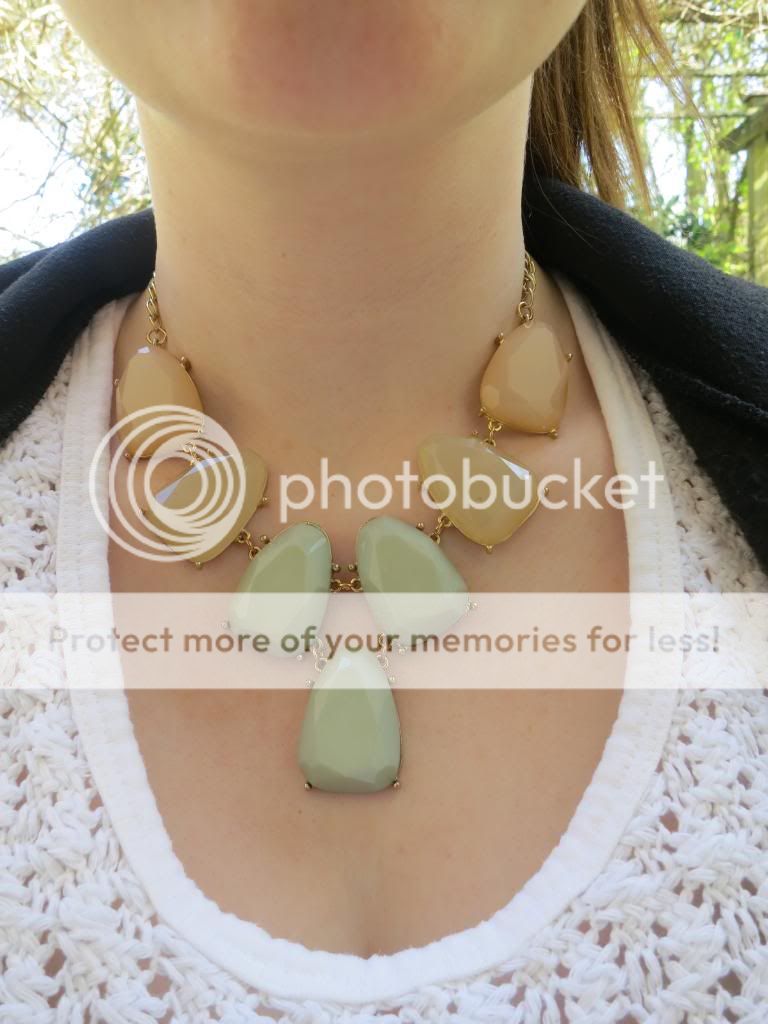  photo IMG_5531_zps81e1ee9c.jpg