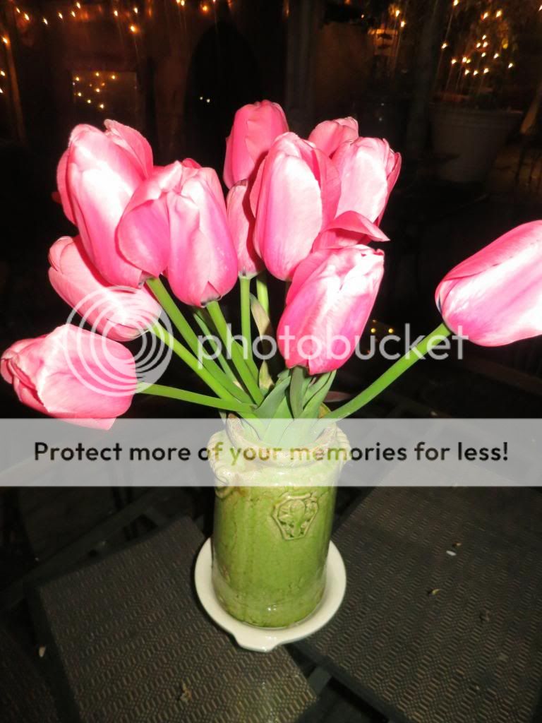  photo IMG_5566_zps535b39b4.jpg