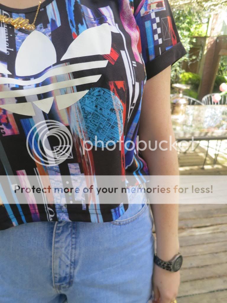 photo IMG_5663_zps10028d5f.jpg