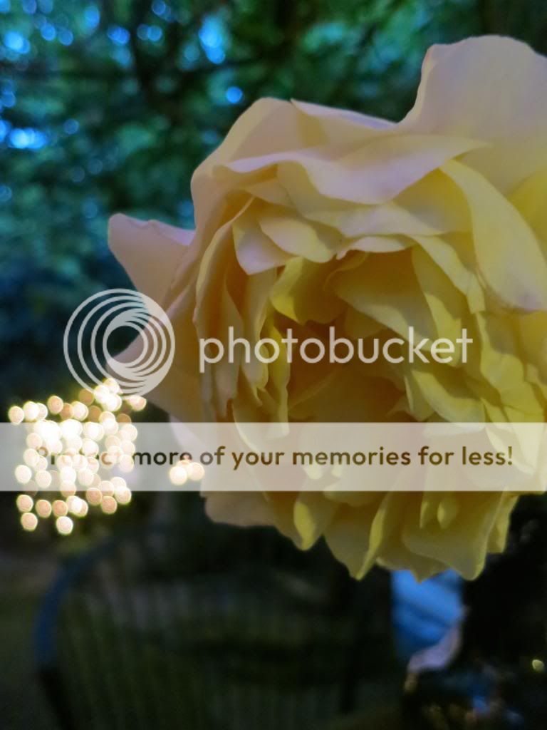 photo IMG_6237_zpsd8fc0ed5.jpg