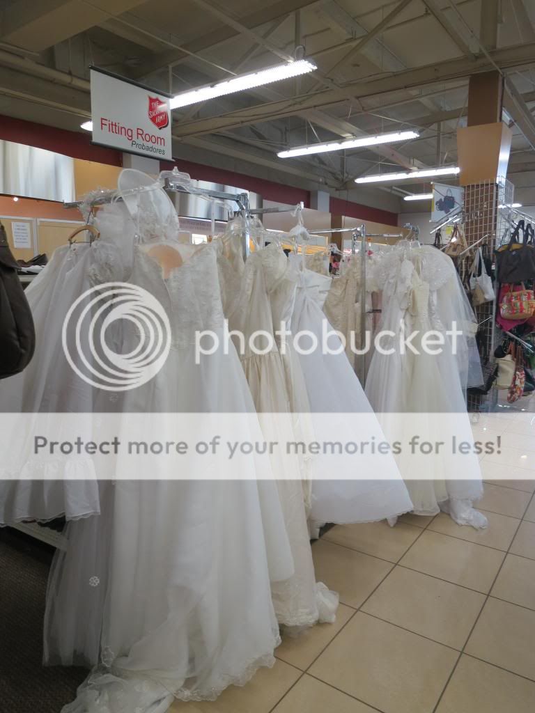  photo IMG_6253_zpsf4e75c4b.jpg