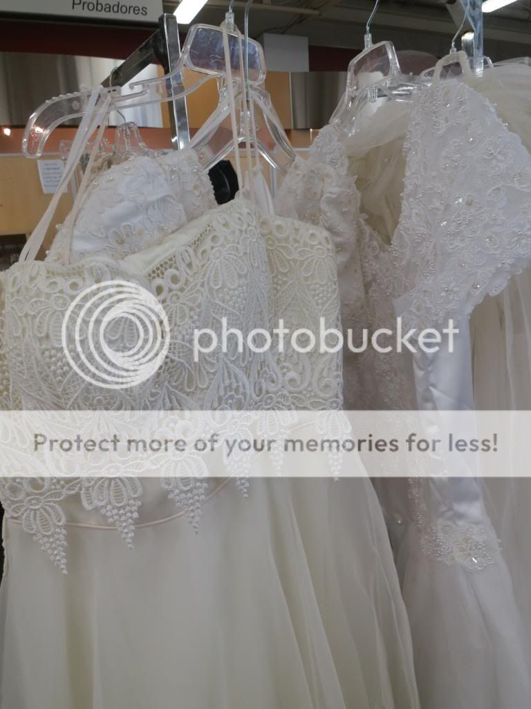  photo IMG_6254_zpsefa86a9d.jpg