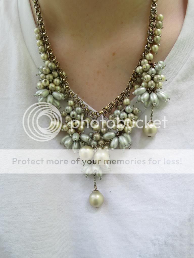  photo IMG_6514_zps291872b6.jpg