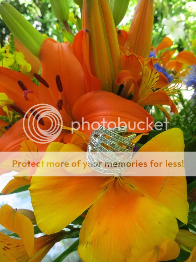  photo IMG_6518_zps2e801c4f.jpg