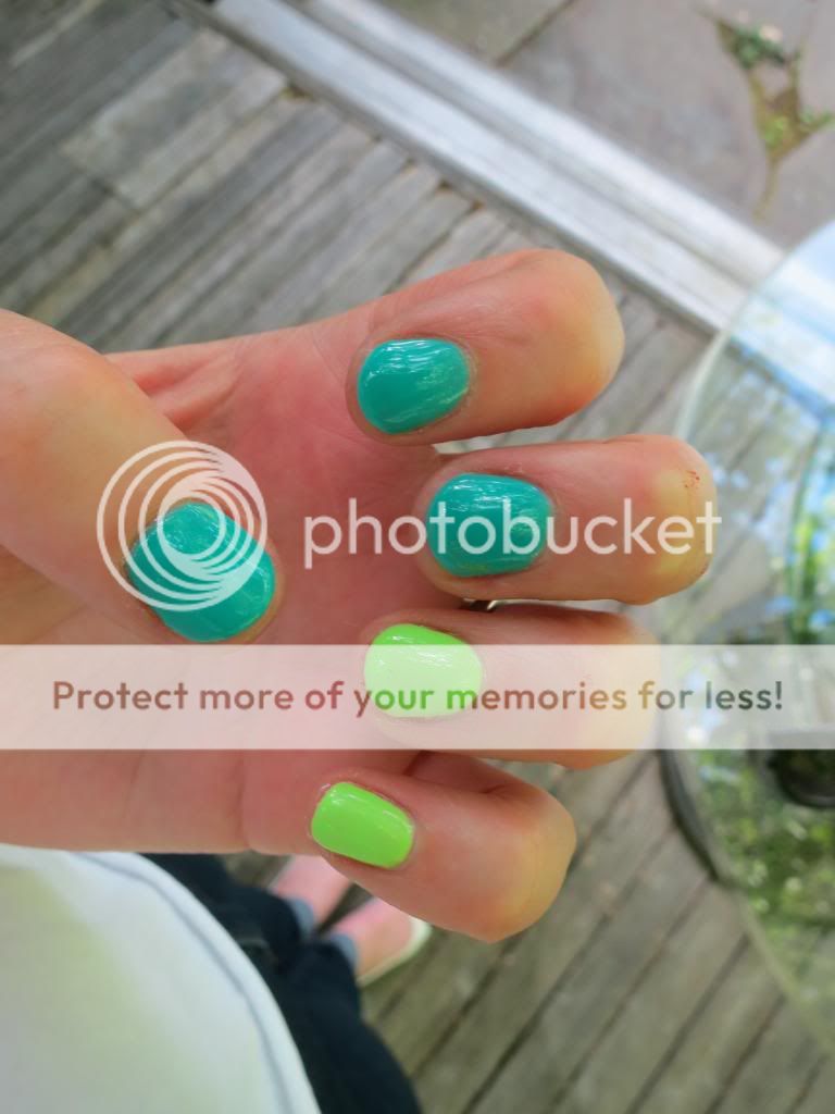  photo IMG_6519_zps1ed44f65.jpg