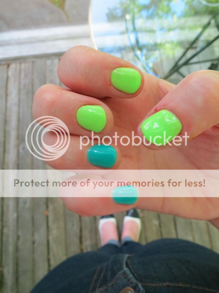  photo IMG_6520_zps0f4fefb5.jpg