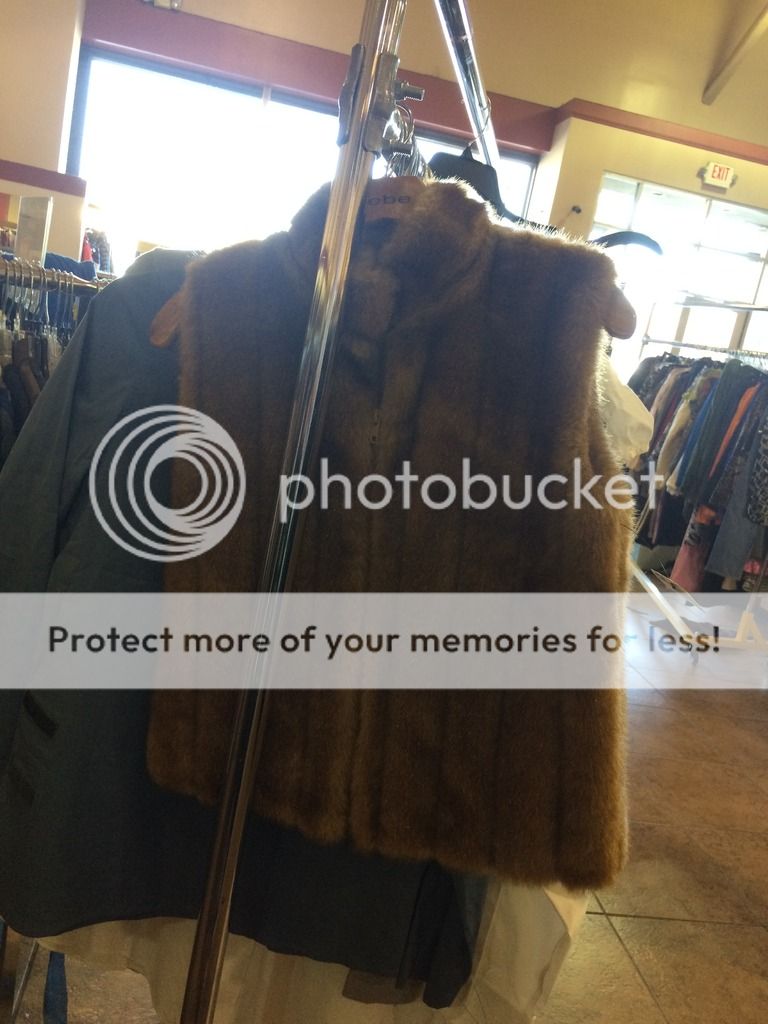  photo IMG_6685_zpswvymxwhu.jpg