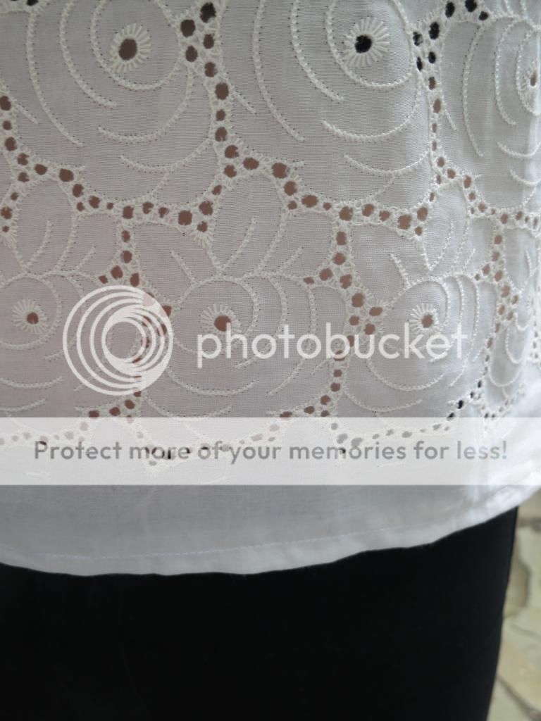  photo IMG_6839_zps51f5cc57.jpg