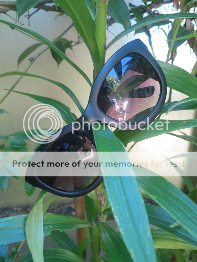  photo IMG_7111_zpsbeb37484.jpg