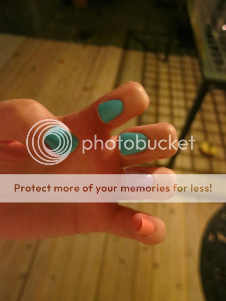  photo IMG_7480_zps9a59b1f6.jpg