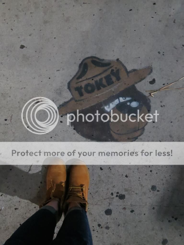  photo IMG_8141_zpsfcd29662.jpg