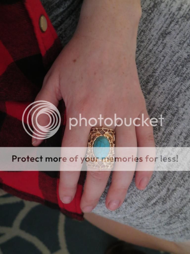  photo IMG_8233_zps1e5cc11f.jpg