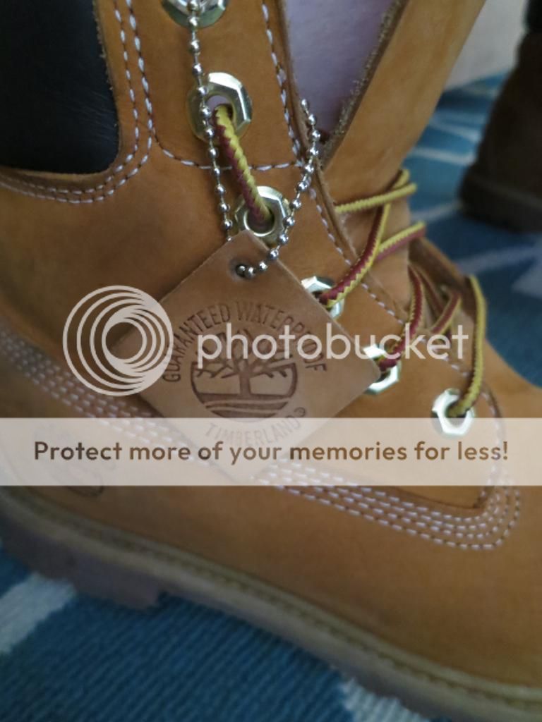  photo IMG_8234_zps6d3acc6d.jpg