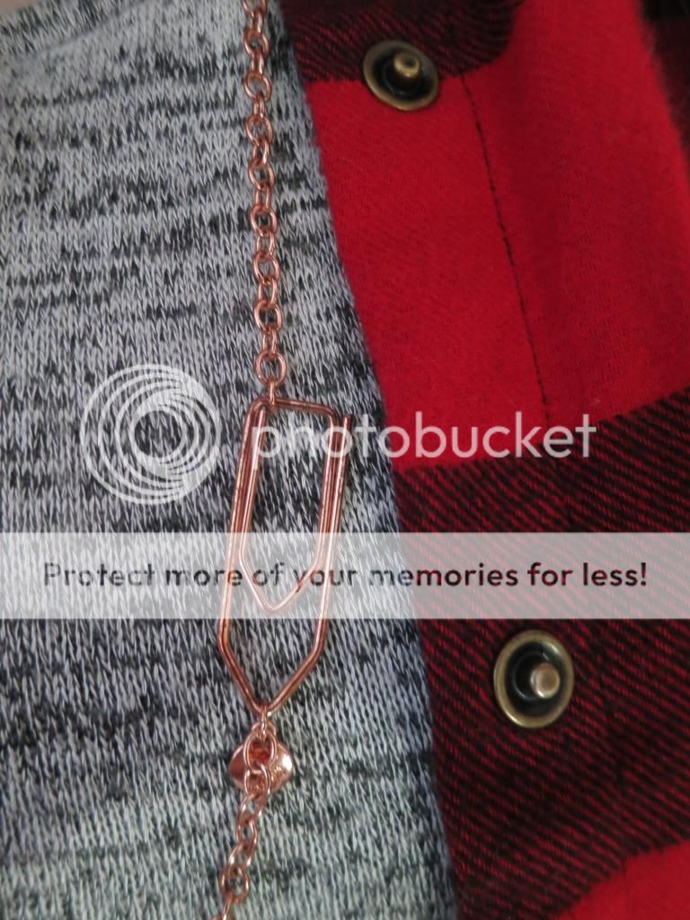  photo IMG_8240_zps2fc2f84d.jpg