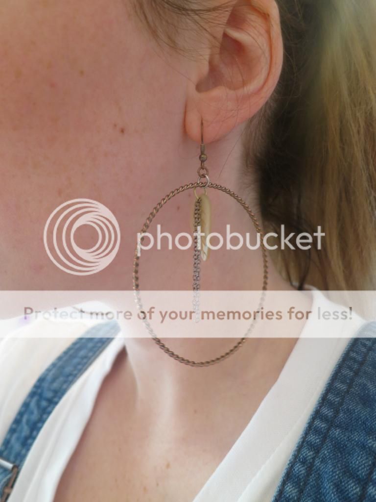  photo IMG_8262_zps38cc8f6e.jpg