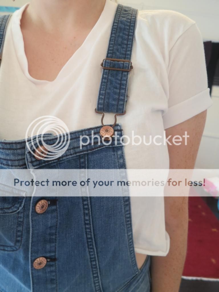  photo IMG_8263_zps4180cdb0.jpg