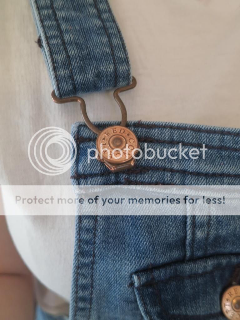  photo IMG_8264_zpscb9c46e8.jpg