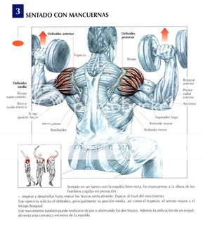 como quemar la grasa del cuerpo naturalmente como quemar la grasa del cuerpo naturalmente