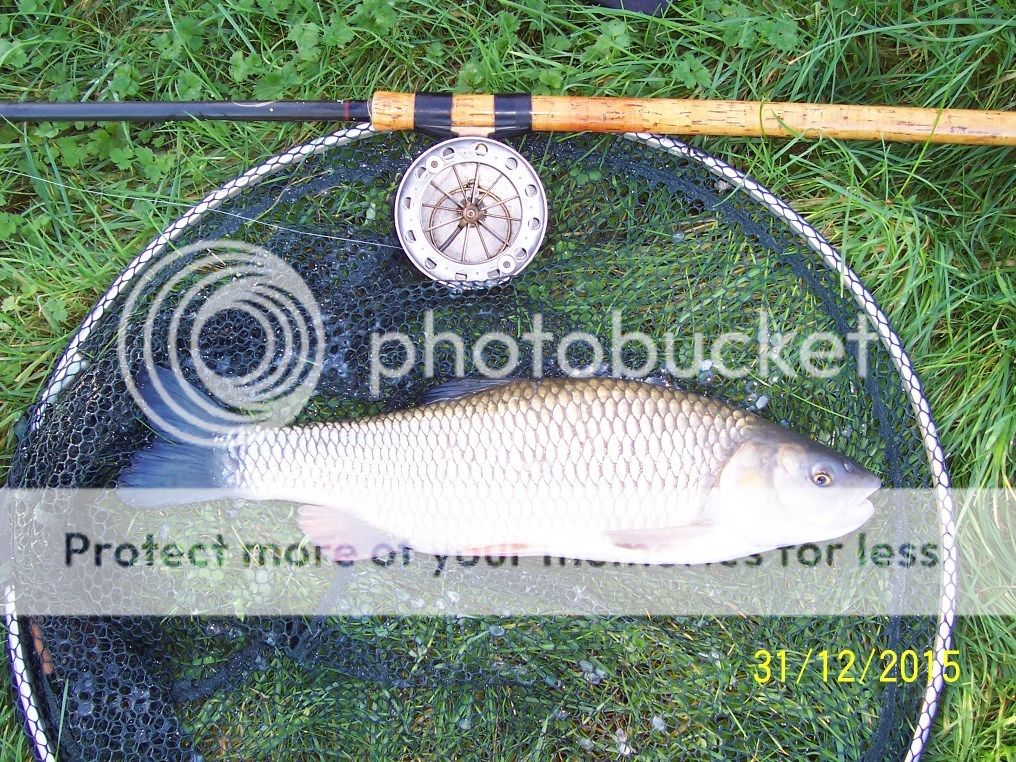 Chub%204lb%207oz_zpss08x5jok.jpg