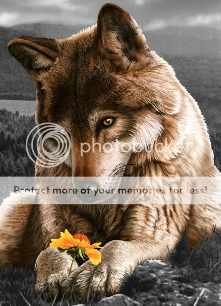 http://i964.photobucket.com/albums/ae126/SAKORY/Loba_by_WarnerC.jpg