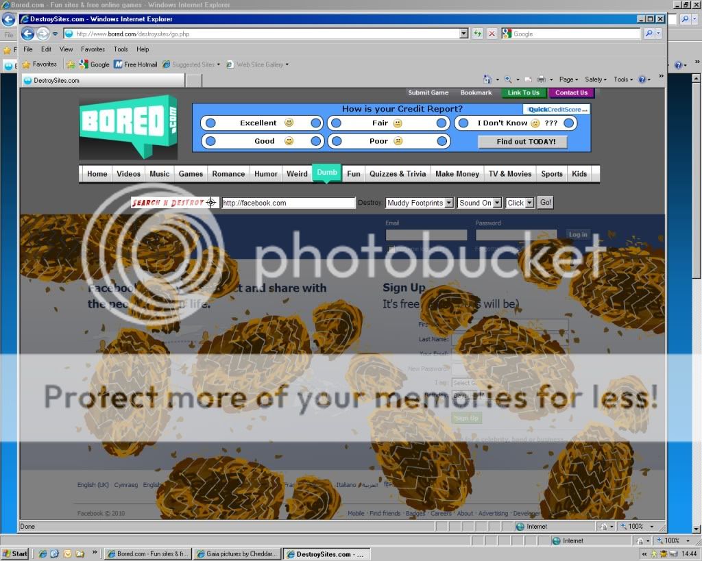 User Image